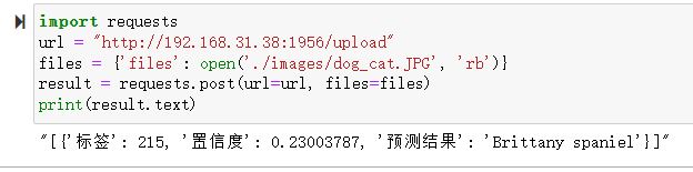 ../_images/FastAPI_cls.JPG