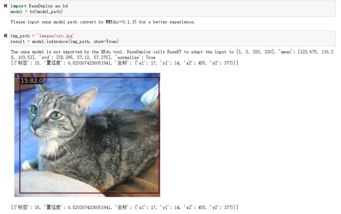 ../_images/ONNX_detect.JPG