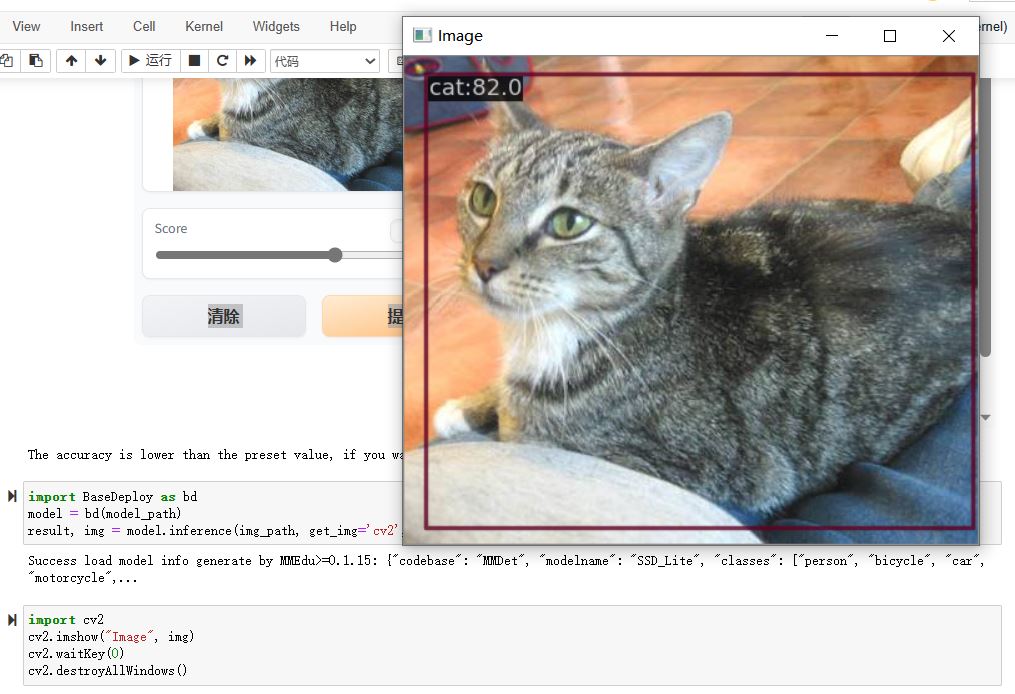 ../_images/back_detect_cv2.JPG