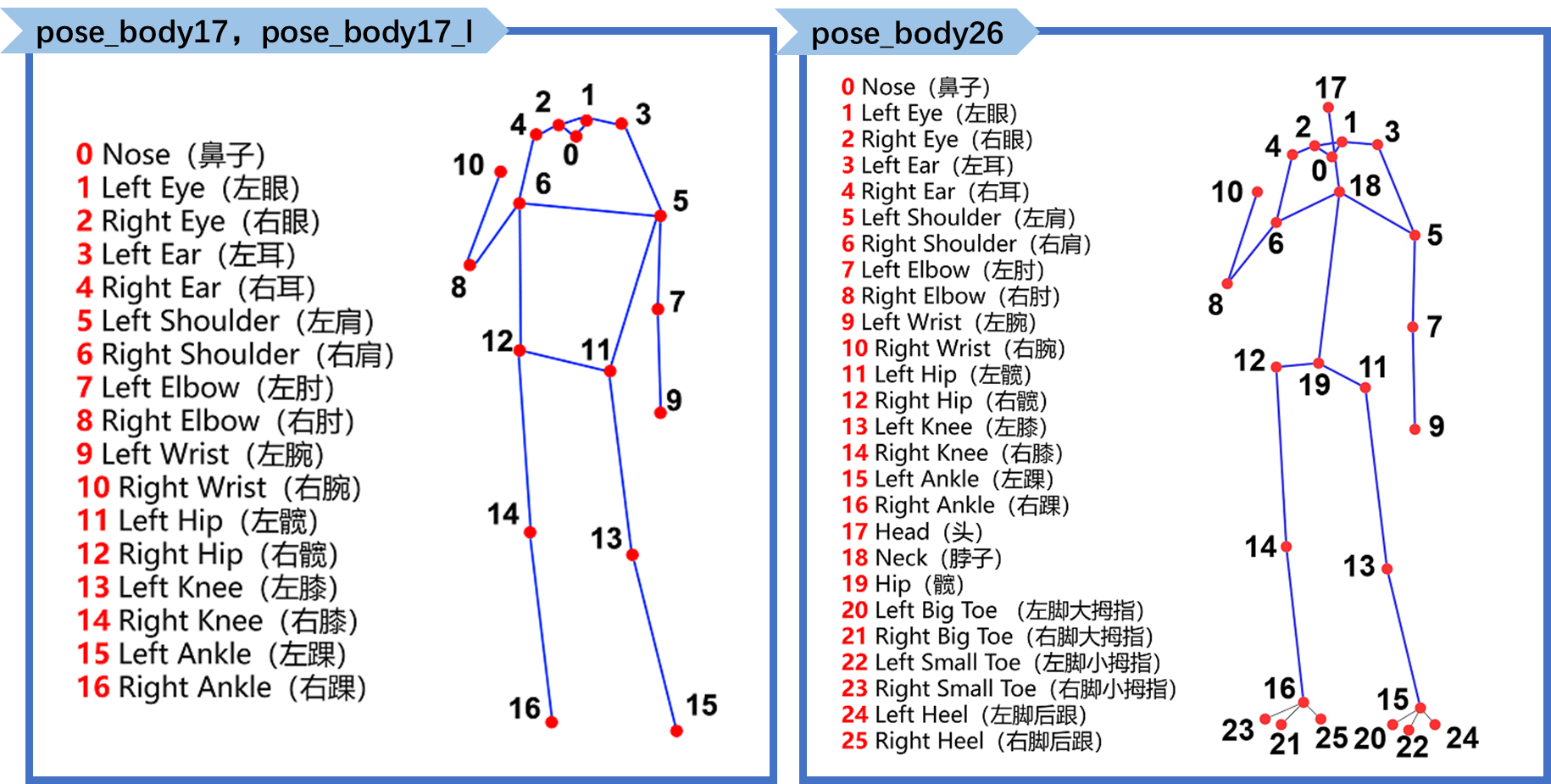 ../_images/body.png