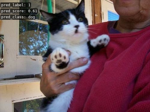 ../_images/cat0.jpg
