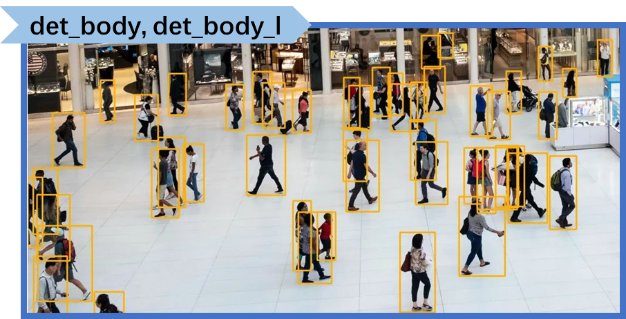 ../_images/det_body.png