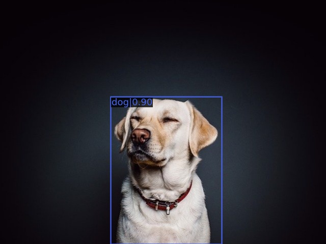../_images/dog0.jpg