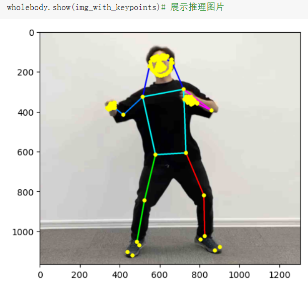 ../_images/wholebody_show.png